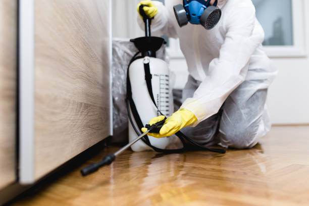 Best Pest Prevention Services  in Prien, LA