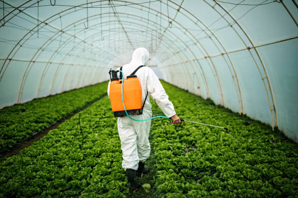Best Pest Control Near Me  in Prien, LA