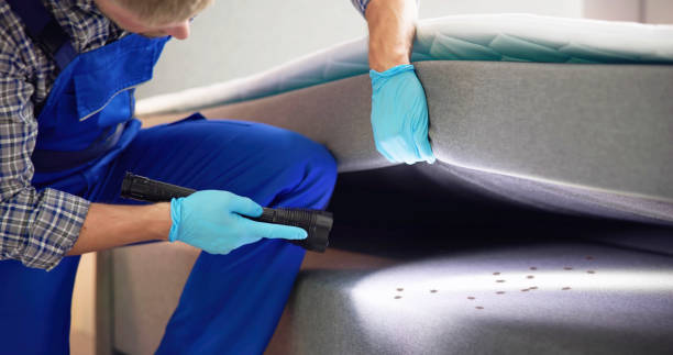 Best Commercial Pest Control Services  in Prien, LA