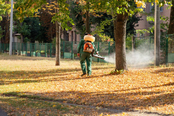 Best Exterminator Services  in Prien, LA